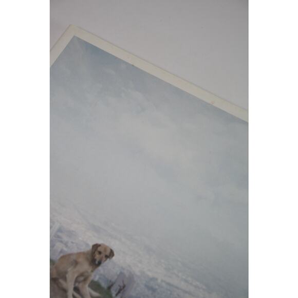 Alec Soth, Dog Days Bogota Hardcover Book RARE Minnesota Photographer - Picture 5 of 15